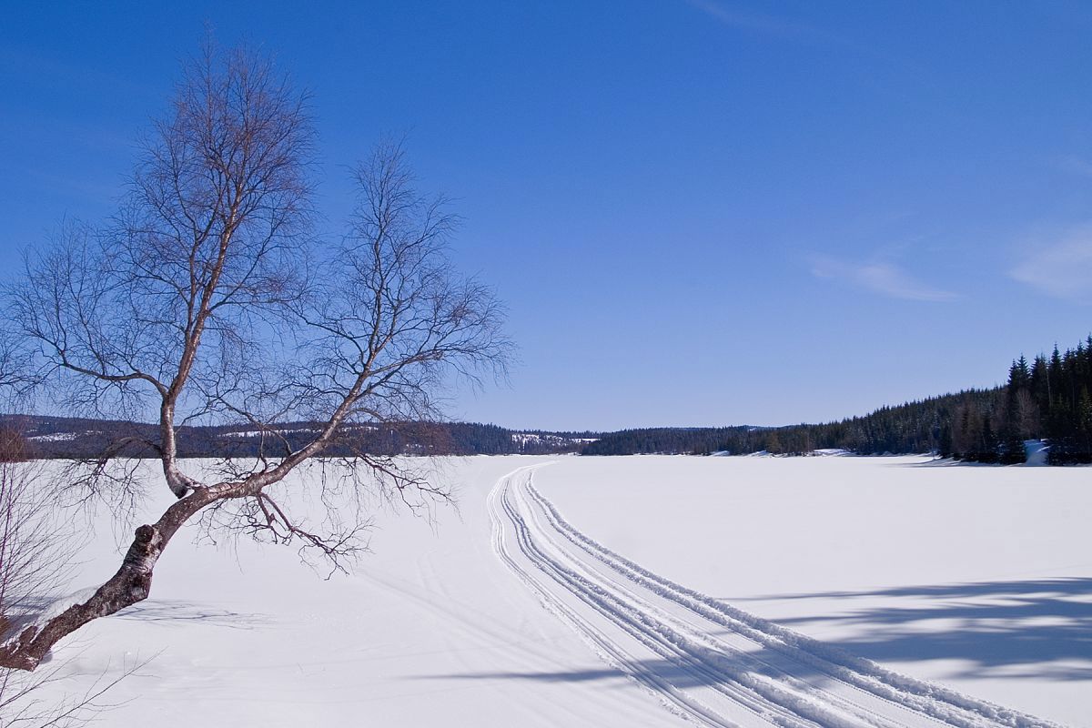 Scooteren har kjørt på Store Sandungen