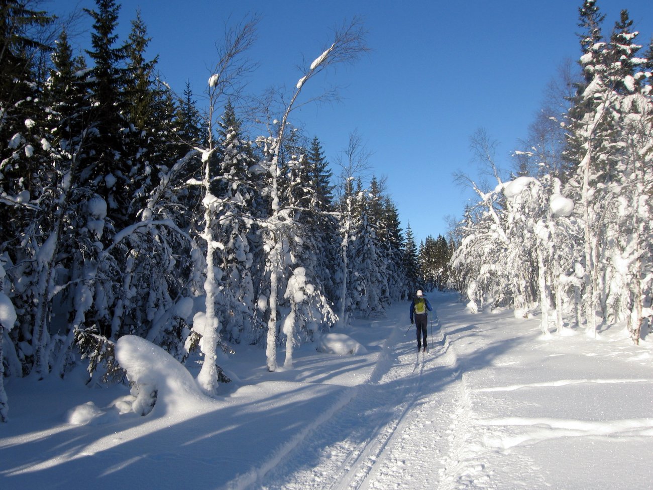 Scooterløypa mellom Finnerud og Heikampen