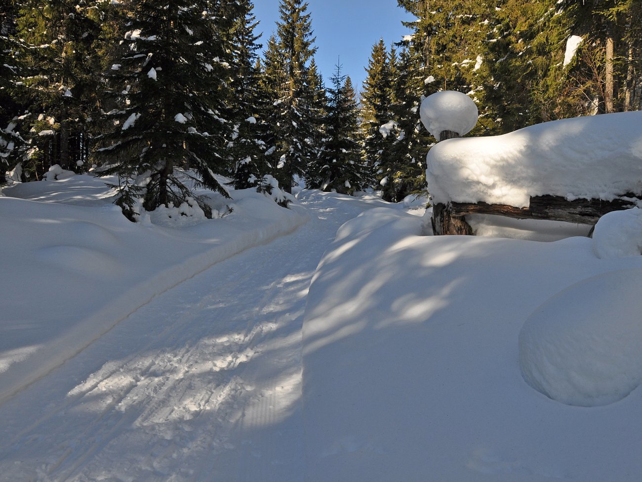 Scooterløypa mot Frøshaug