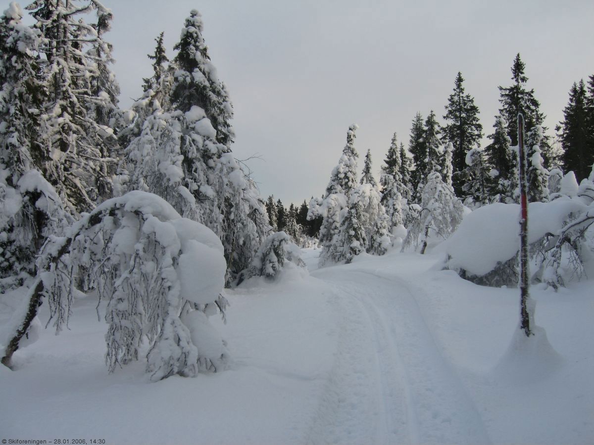 Scooterløypa over Heikampen