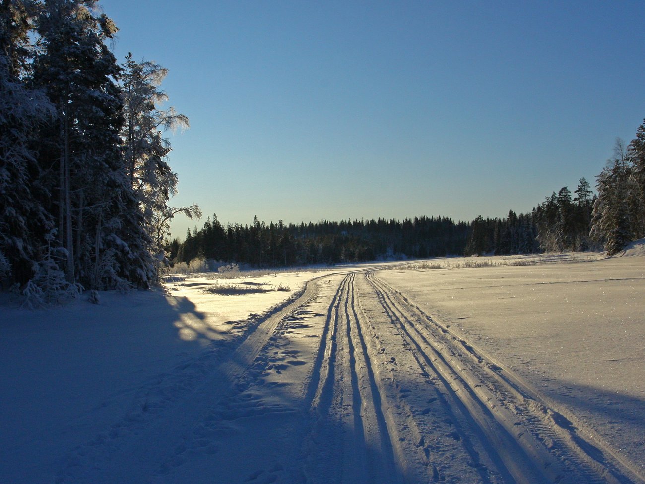 Scooterløypa over Skålsjøen