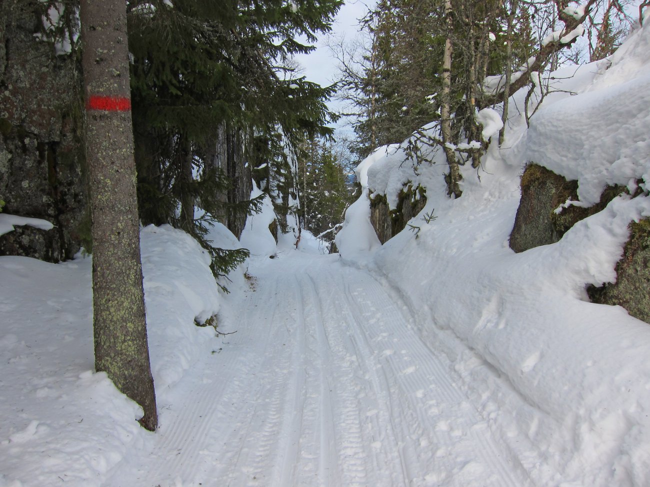 Scooterløype mot Gyrihaugen