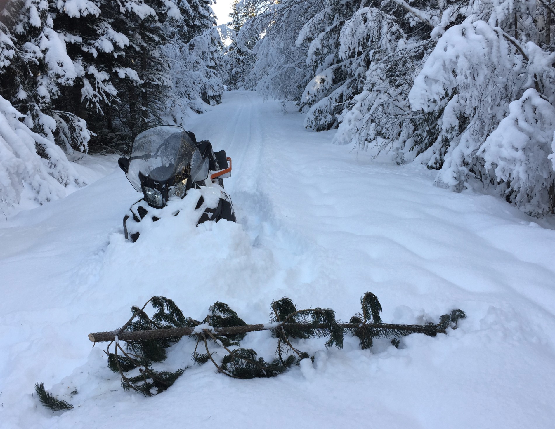 Scooterprepping i Edelgranvegen