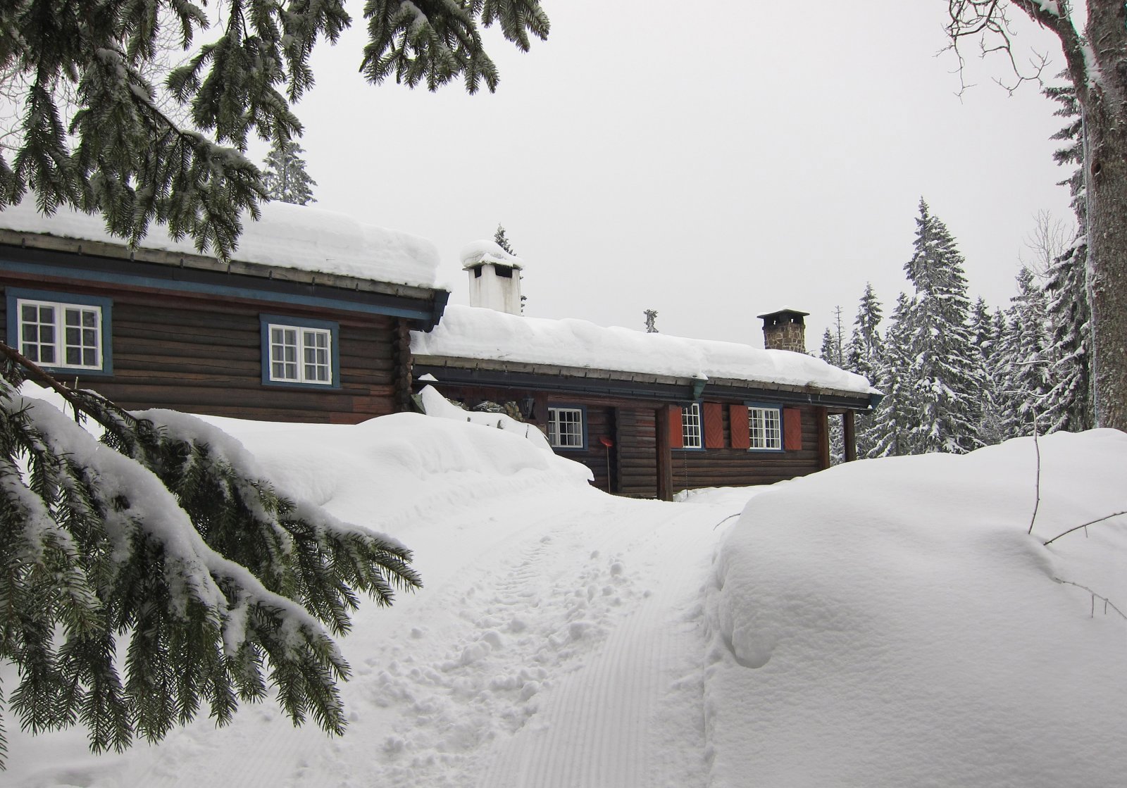 Scooterspor helt frem