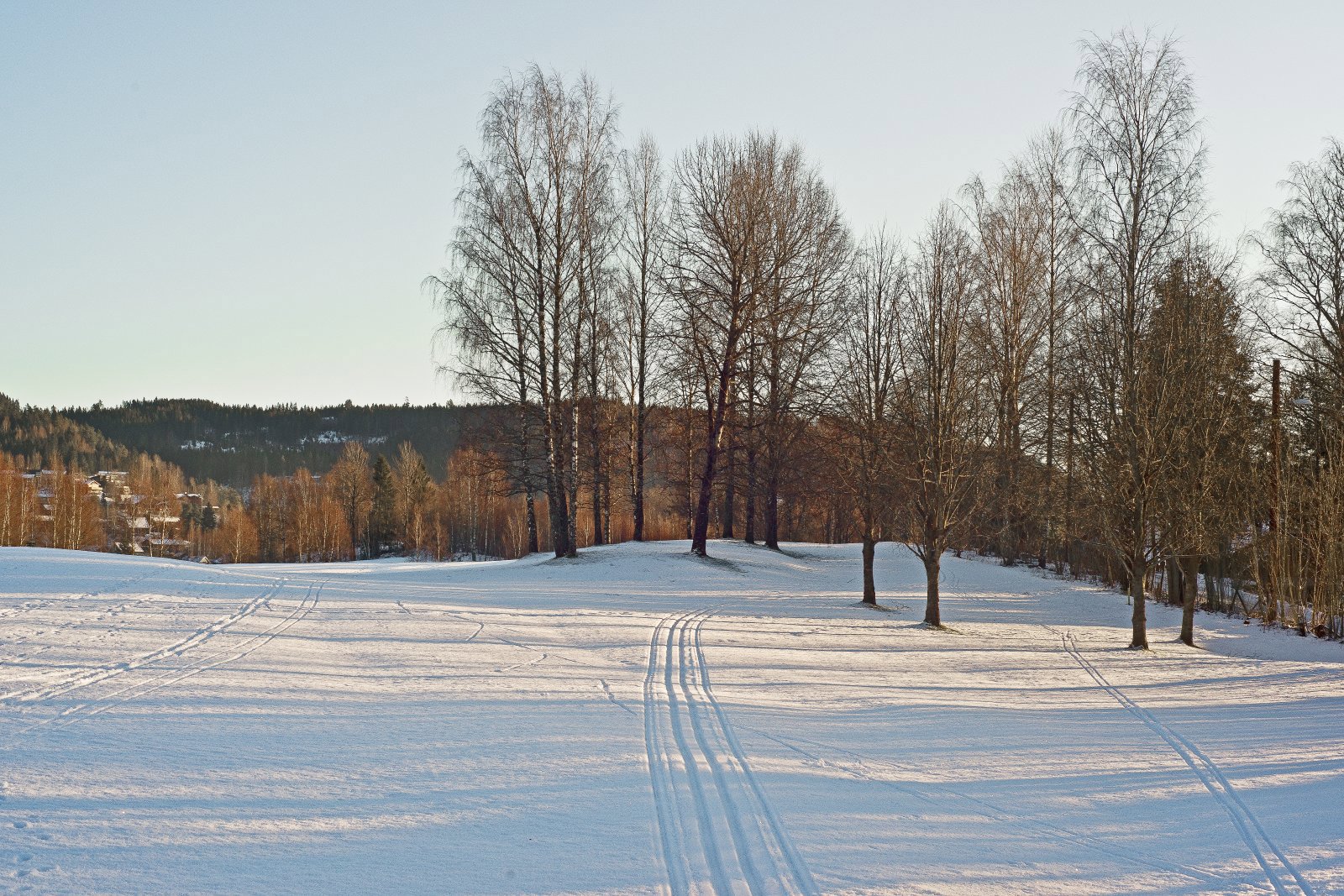 Scooterspor i Lommedalen