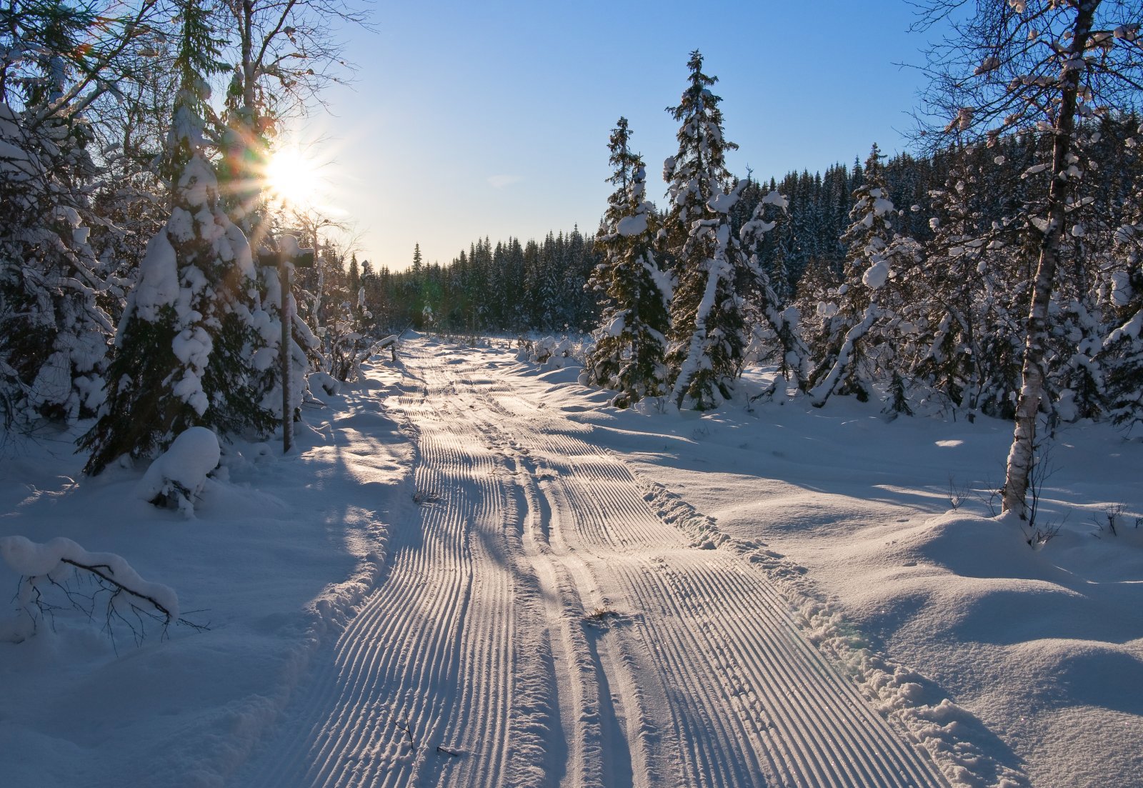 Scooterspor i motlys