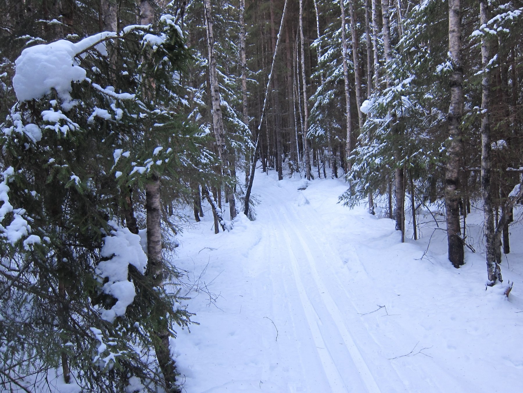 Scooterspor i Styrimarka