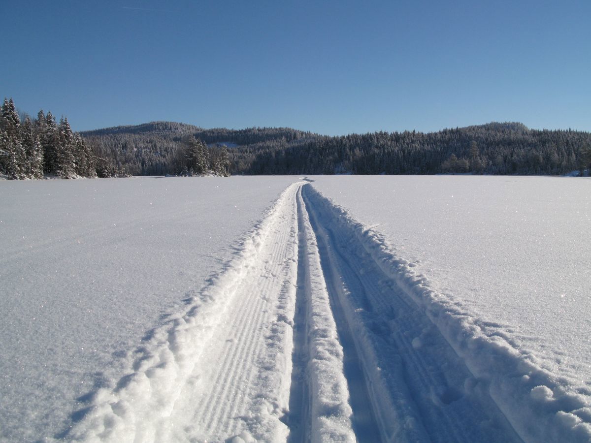 Scooterspor over Heggelivann
