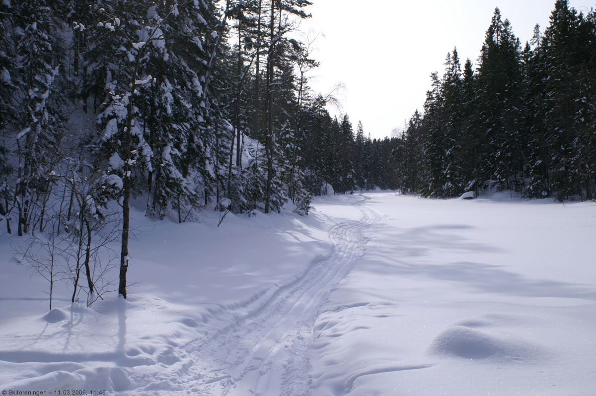 Scooterspor over Svarttjernet