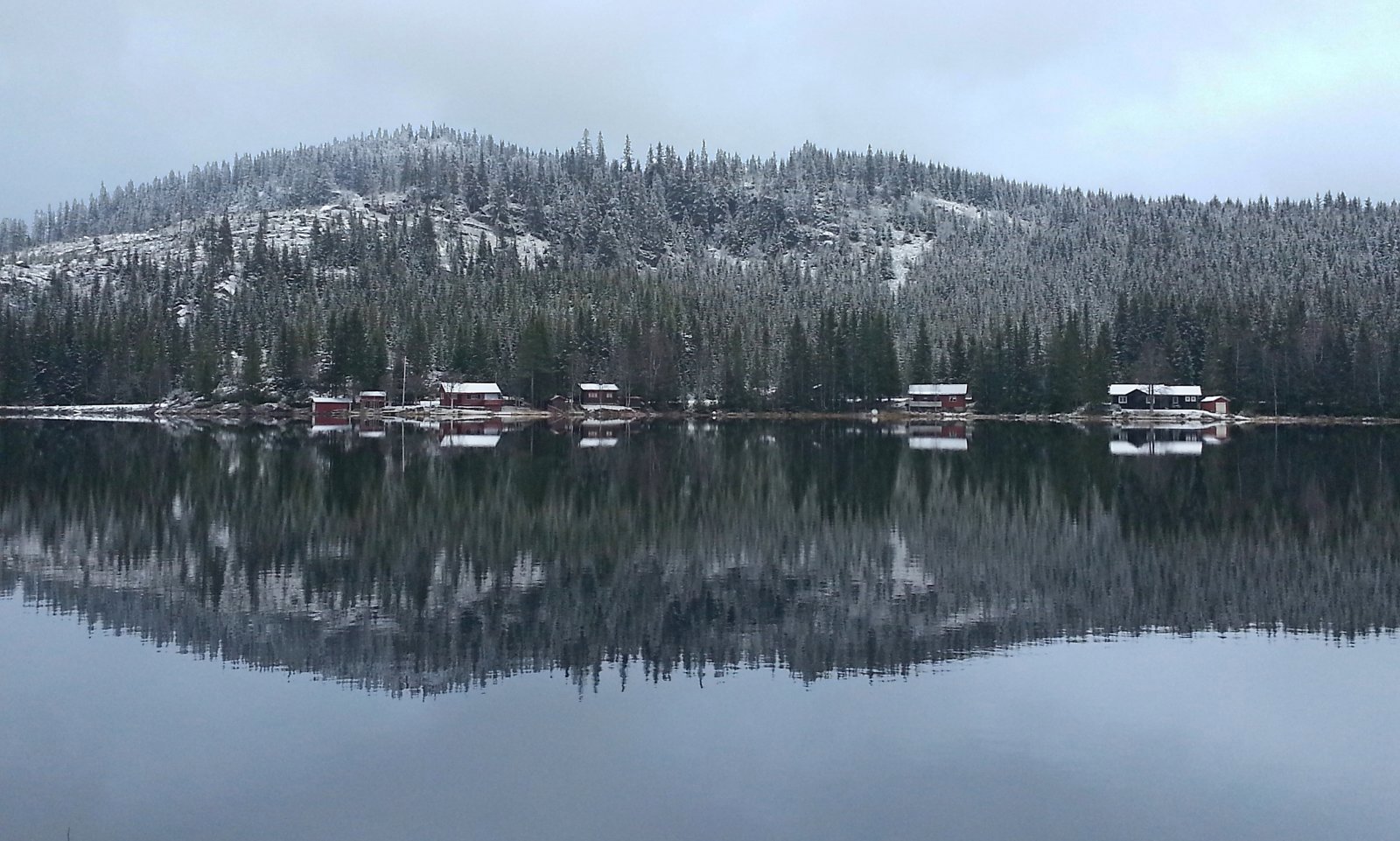 Seinhøstes ved Store Svartungen