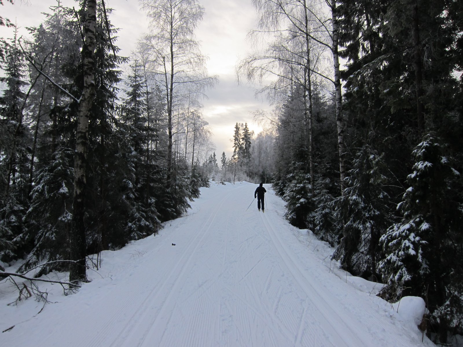 Selv grå skidager kan være fine