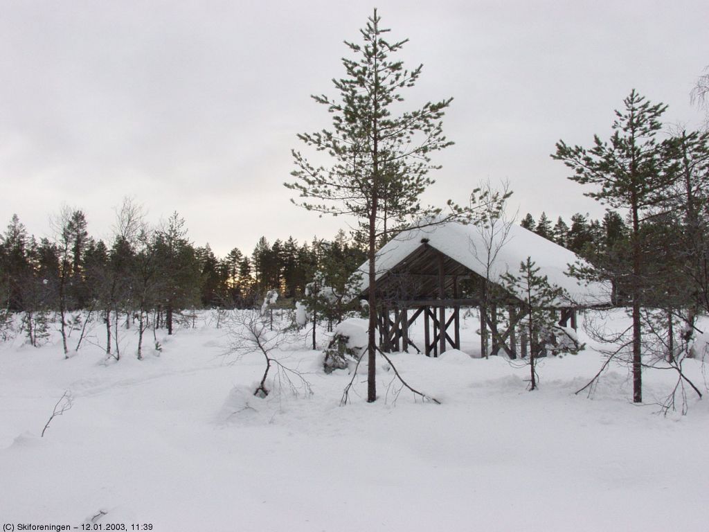 Semsmåsan med torvtørkehus