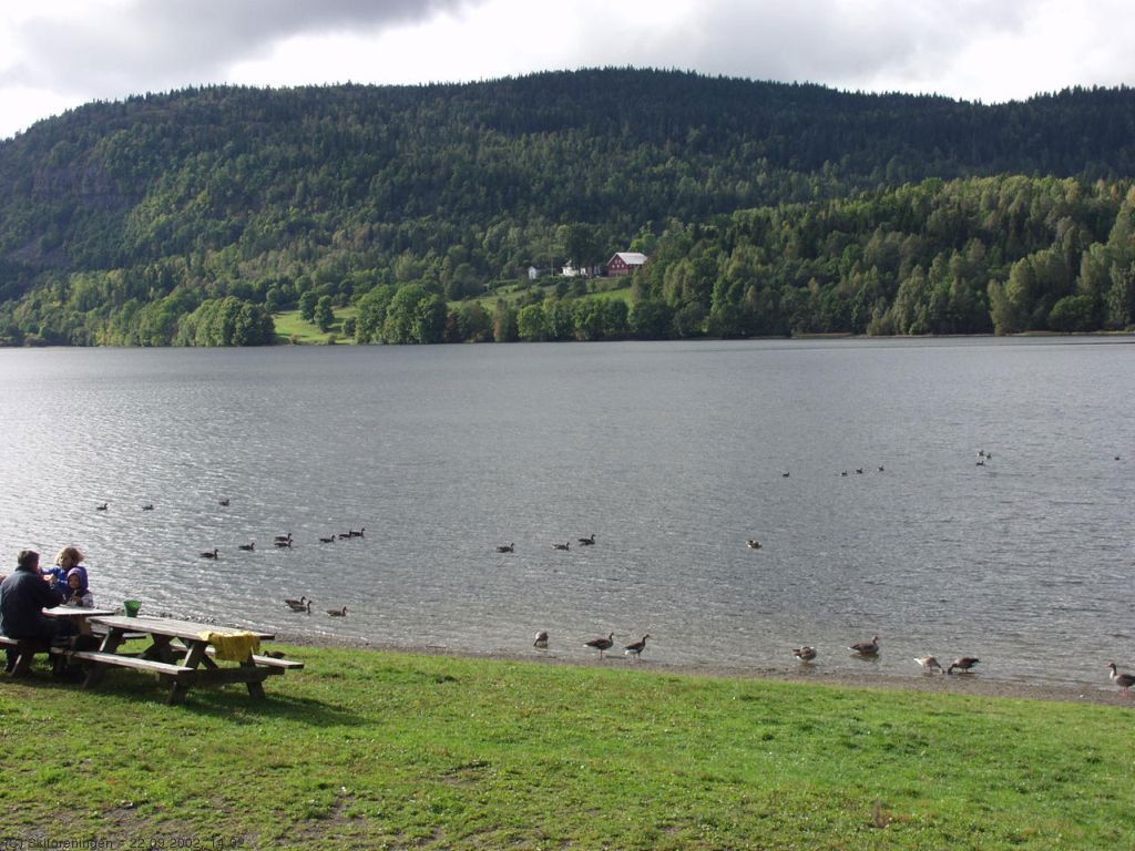 Semsvannet, Askers tusenårssted