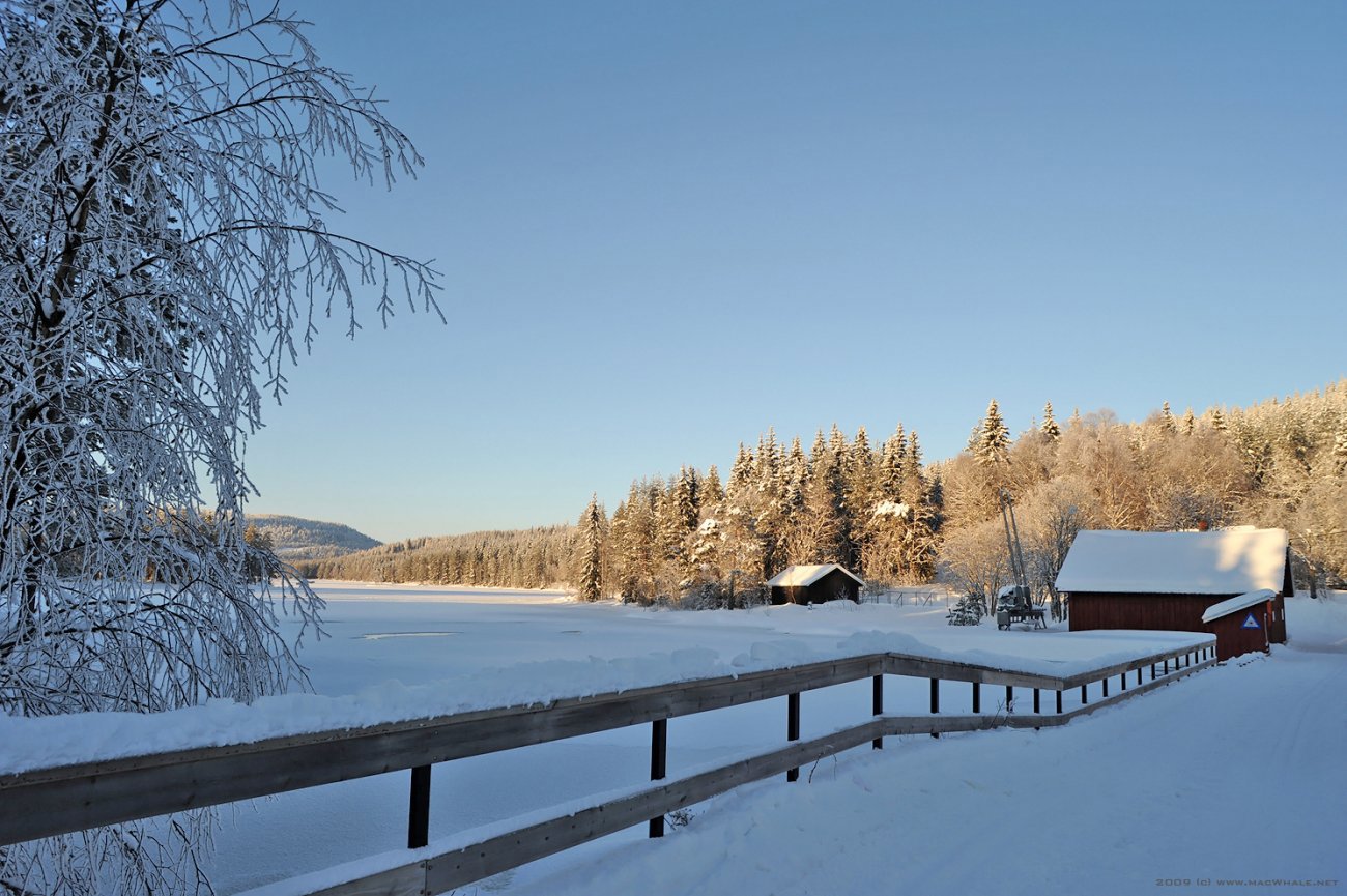 Sen ettermiddag ved Skjærsjøen