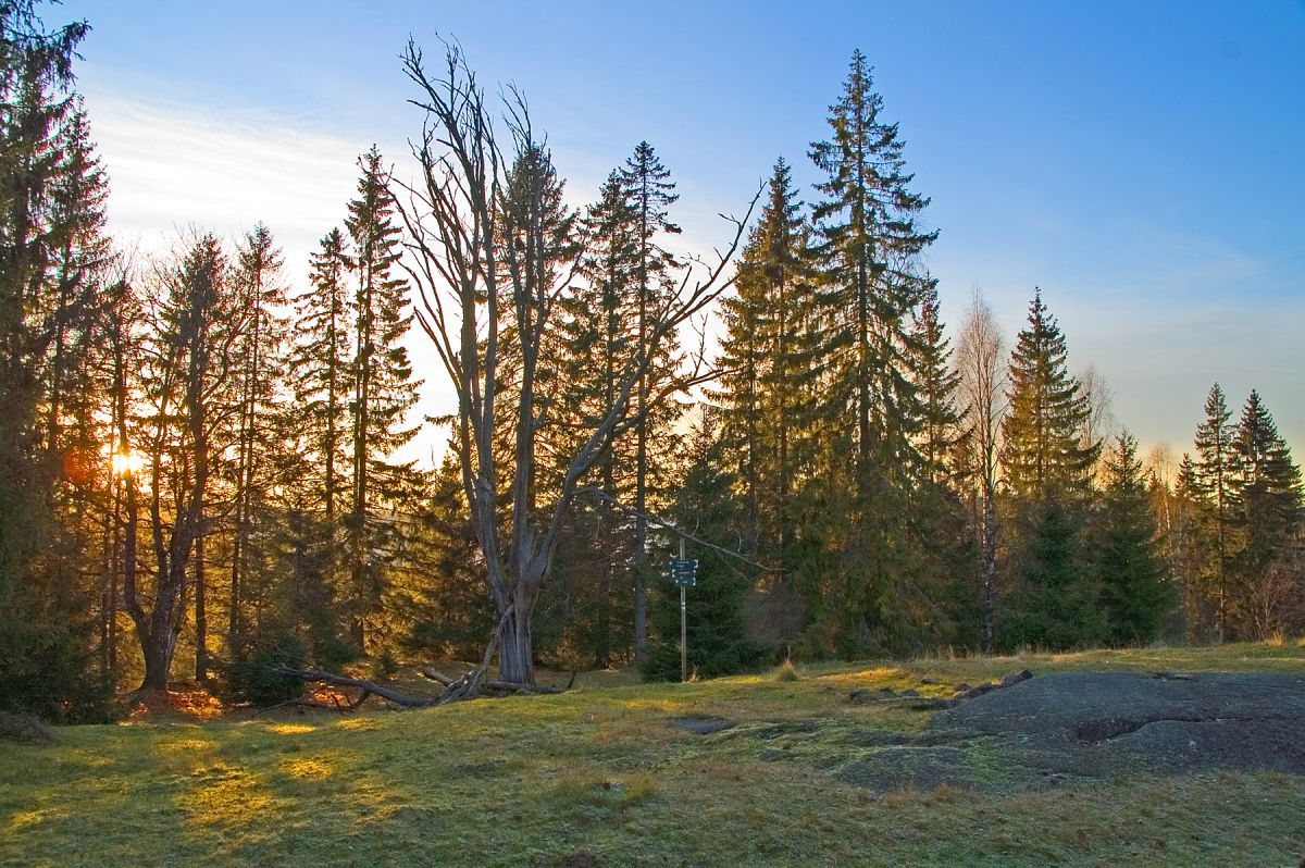 Sene solstråler sniker seg inn på setervollen