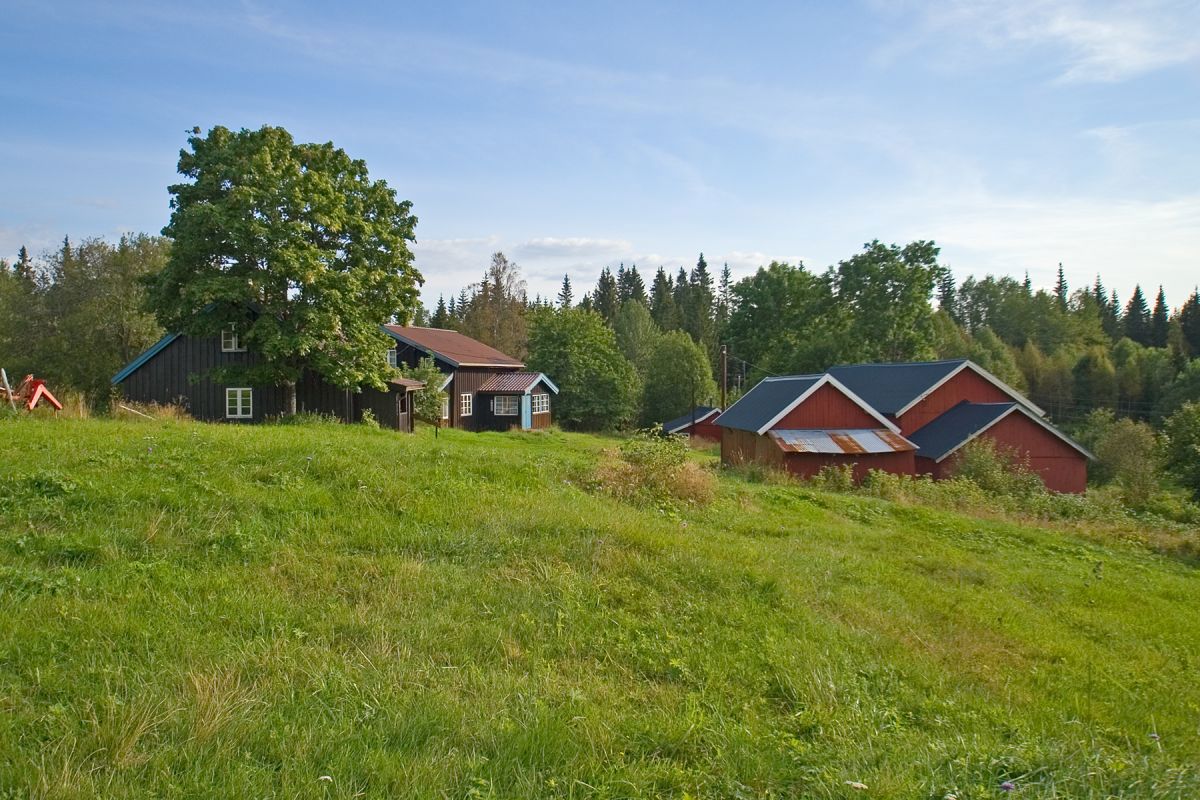 Sensommer på Slakteren