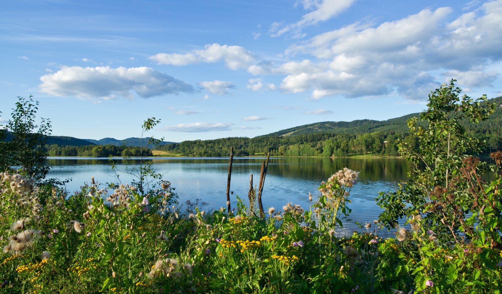 Sensommer ved Bogstadvannet