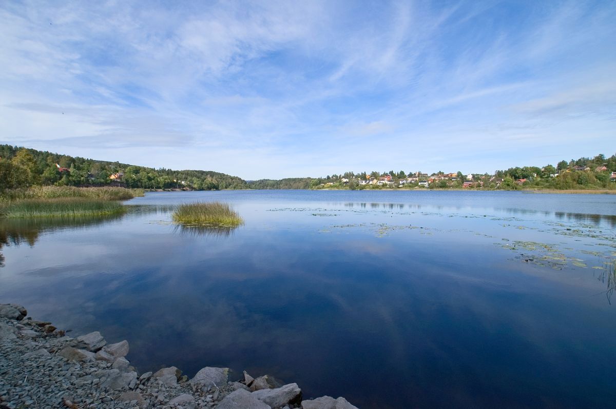 Sensommer ved Gjellumvannet