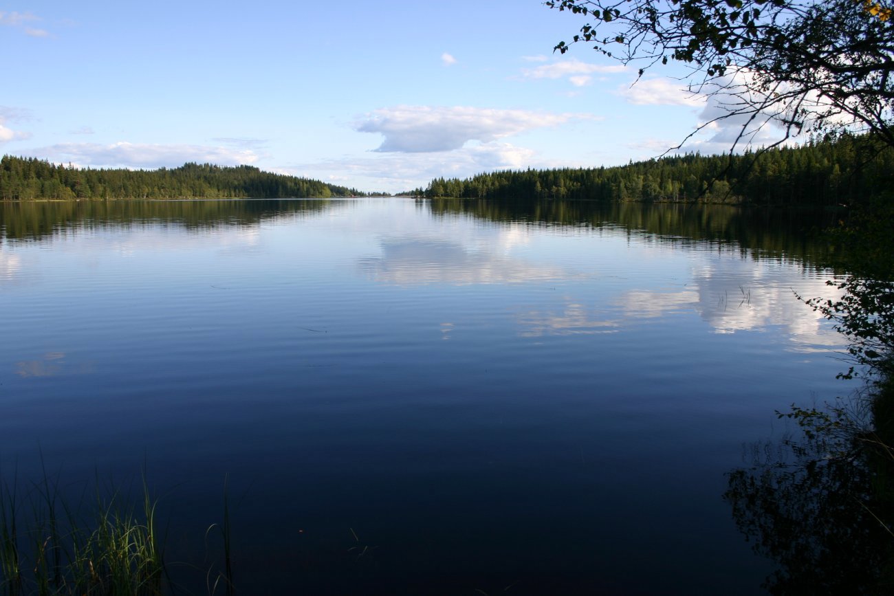 Sensommer ved Ørfiske