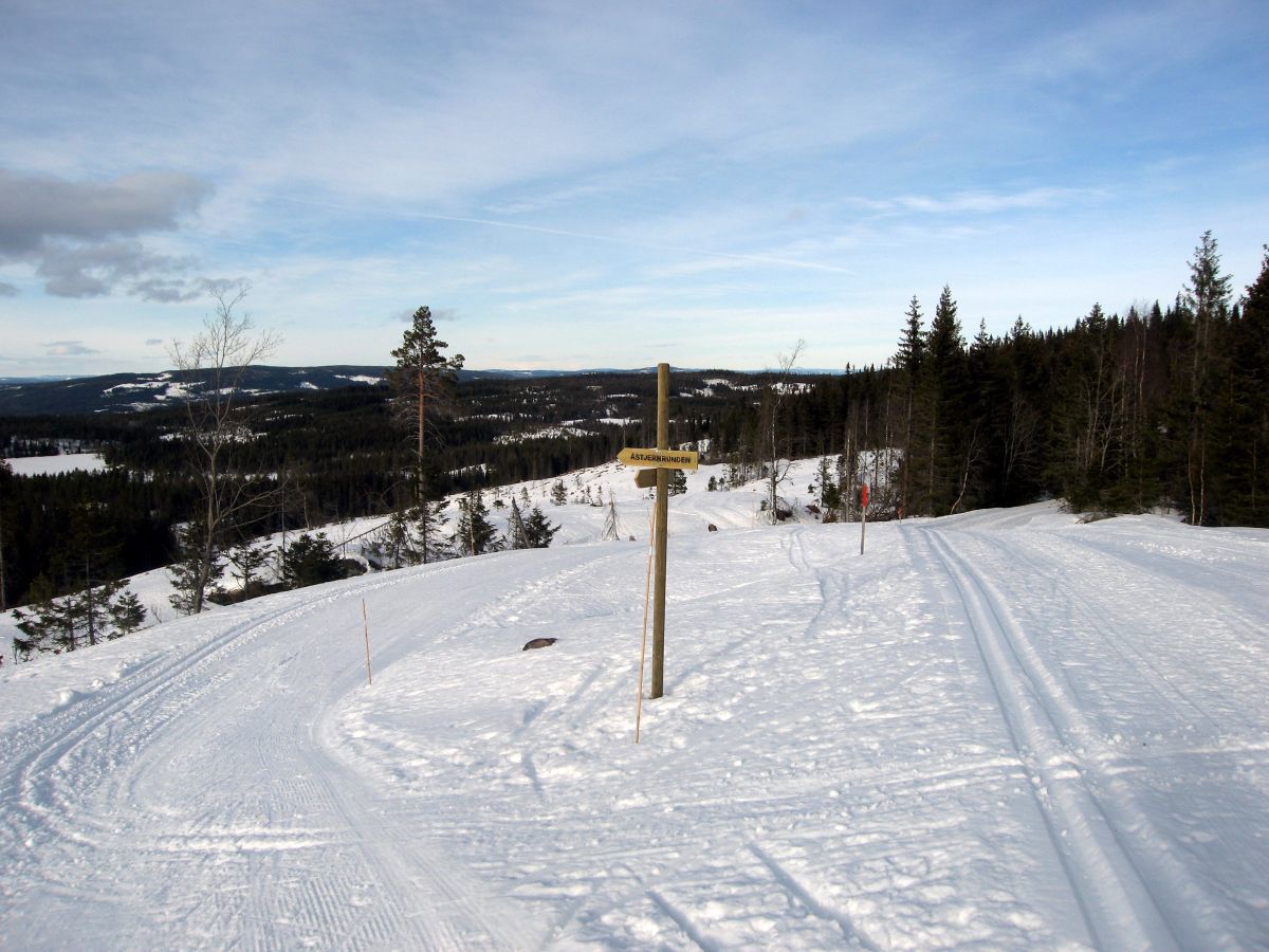 Sentralt løypekryss på Høgkorset