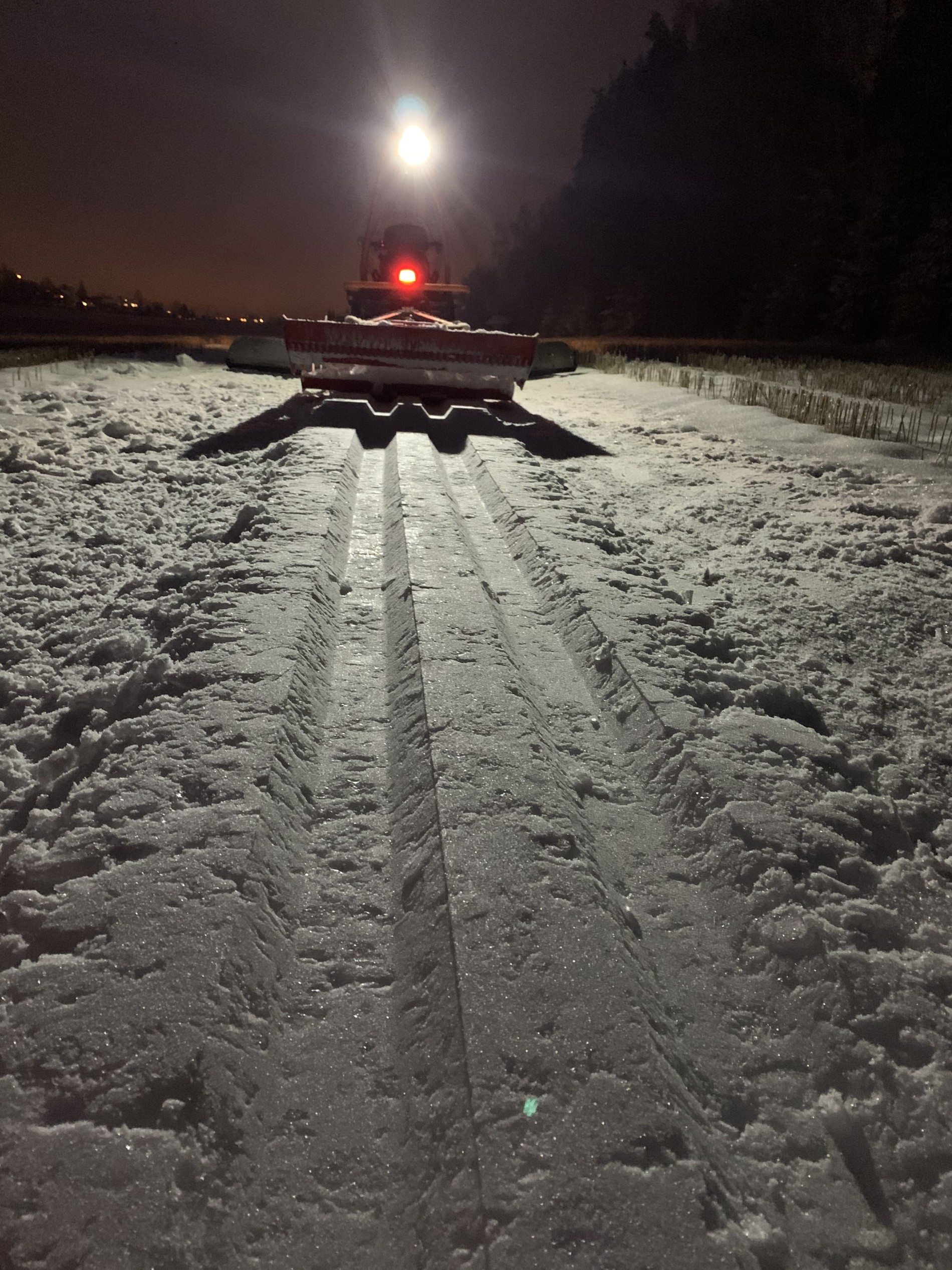 Sesongens første løyper med spor på Kongsrudjordet