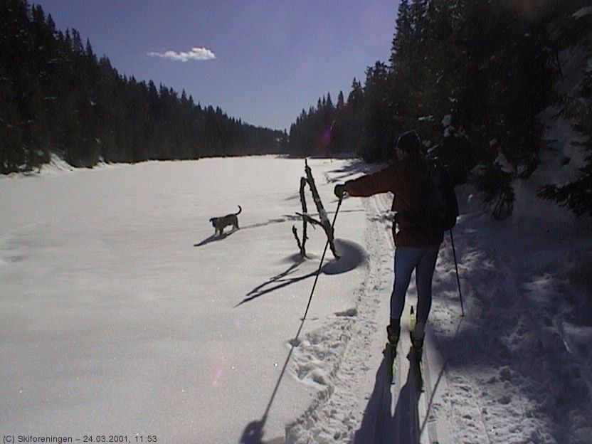 Silkeføre ved Tvetjerna