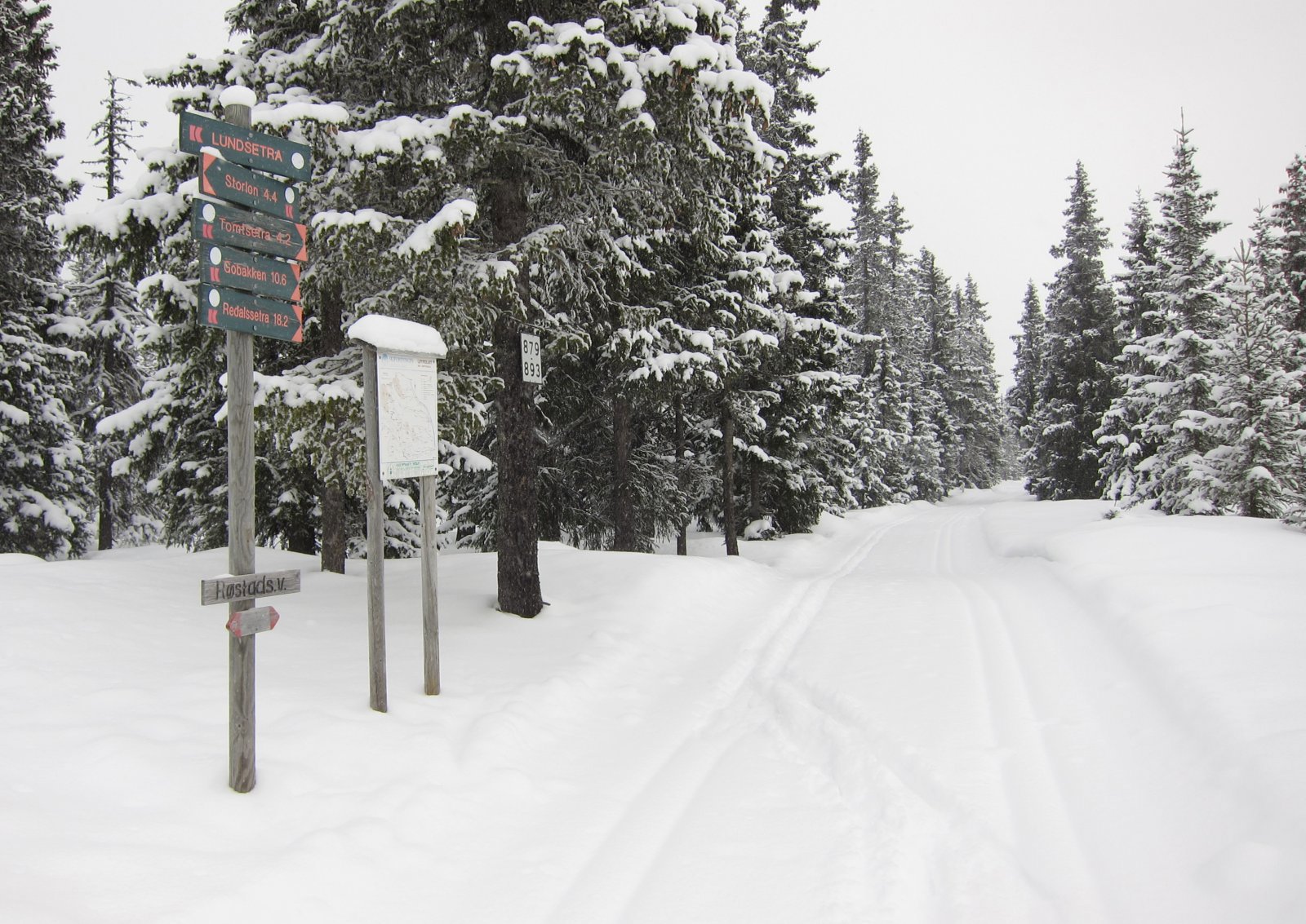 Silkemykt ved Lundsætra