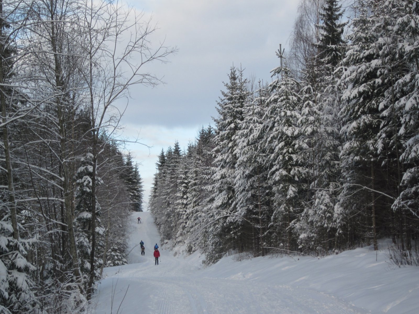 Siste bakke opp mot Myrer