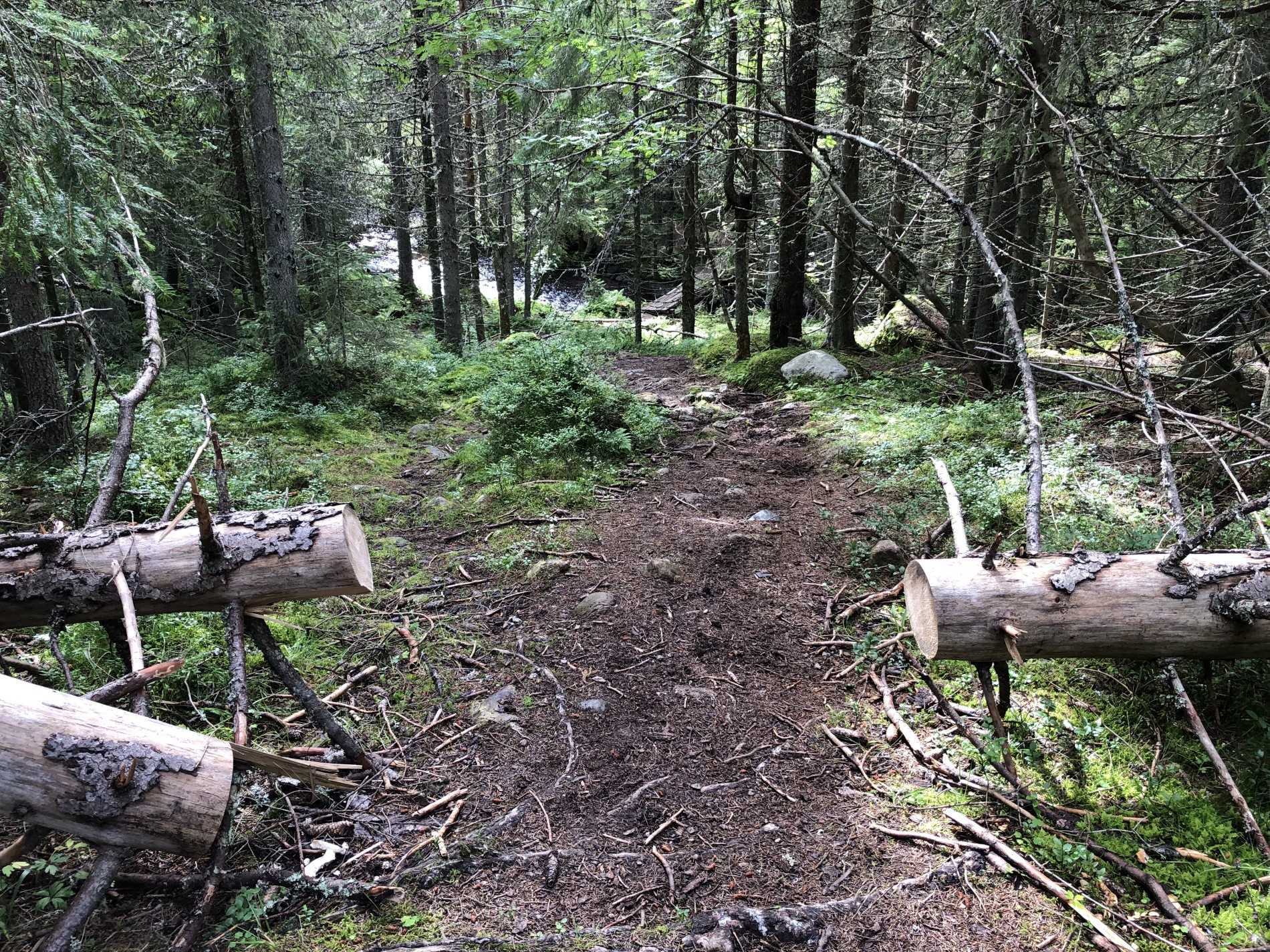 Siste kneik med sykkel på slep