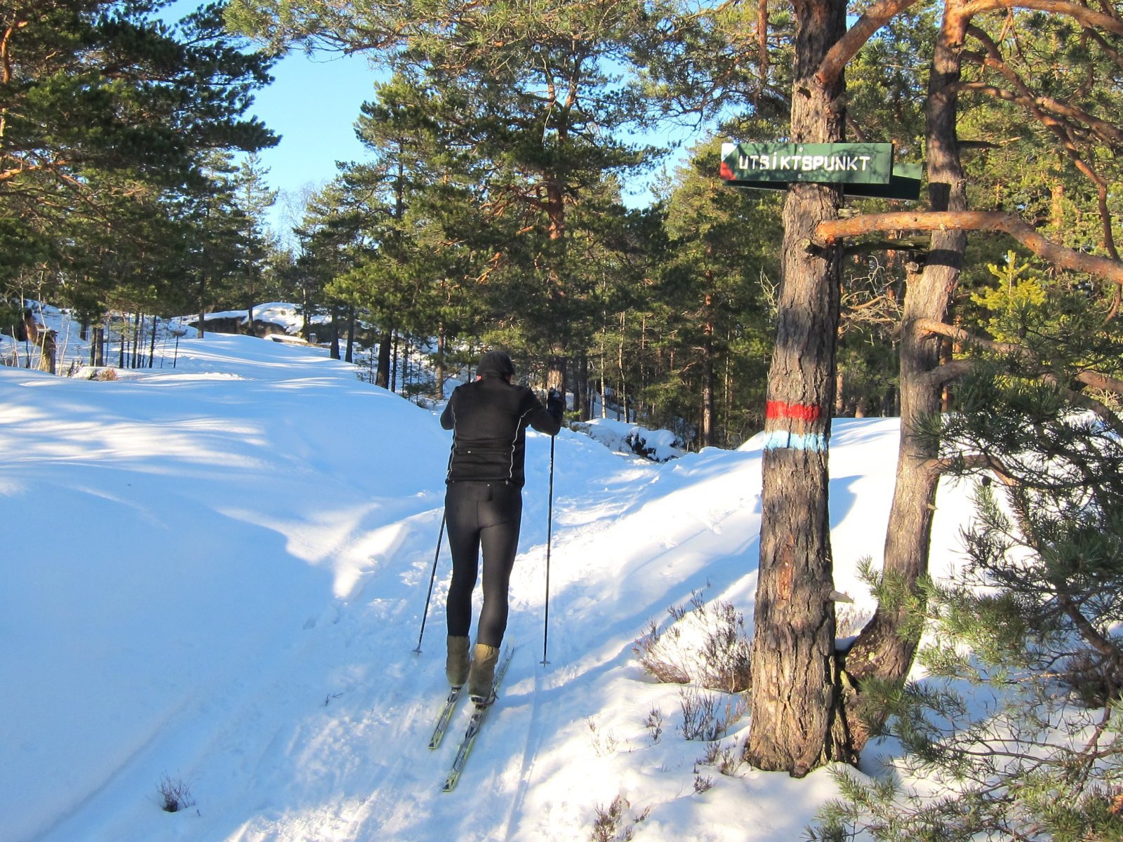 Siste kneik på Gaupefjell
