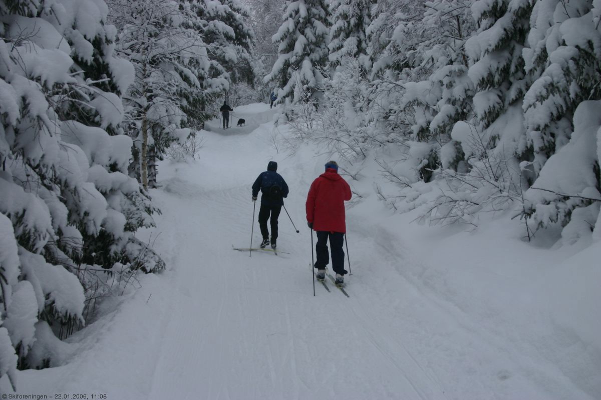 Siste kneika før Ørfiske