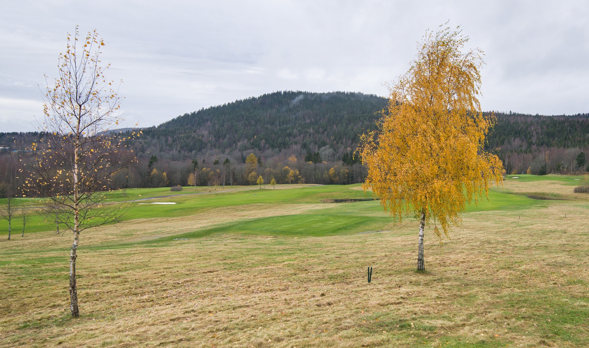 Siste og nest siste fase