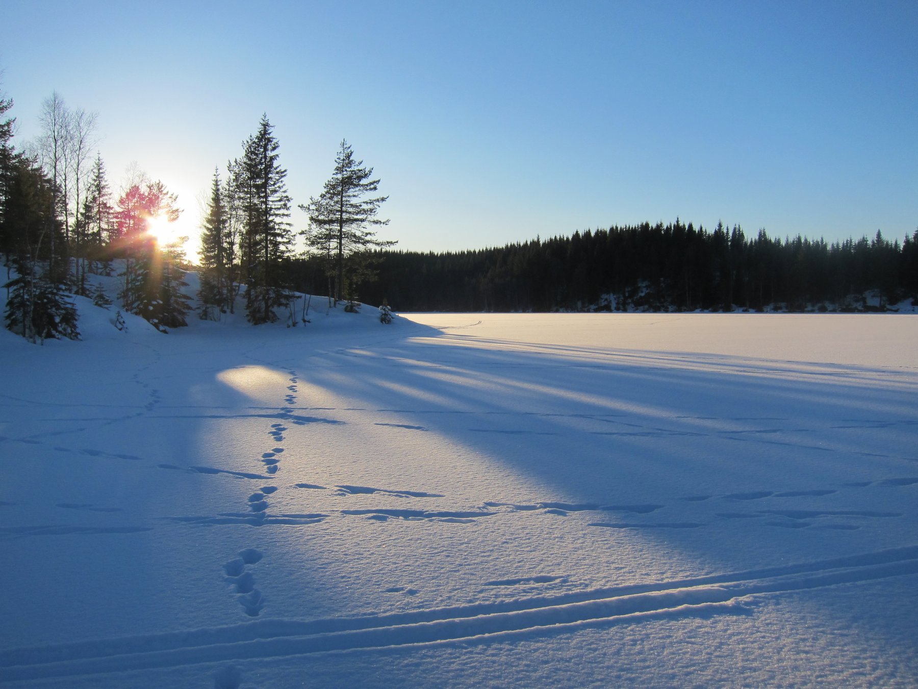 Siste stråler over Kalvsjøen