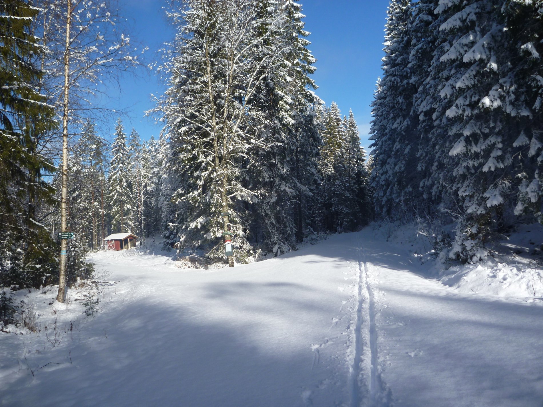 Sjeldent å kunne lage egne spor ved Klokkerudmyrene