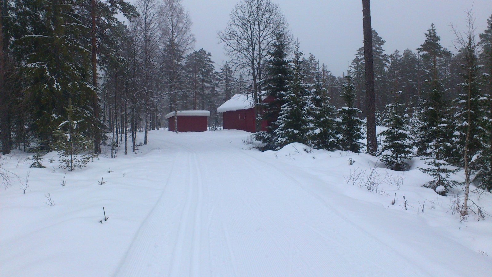 Sjølyst ved Fiskeløysa