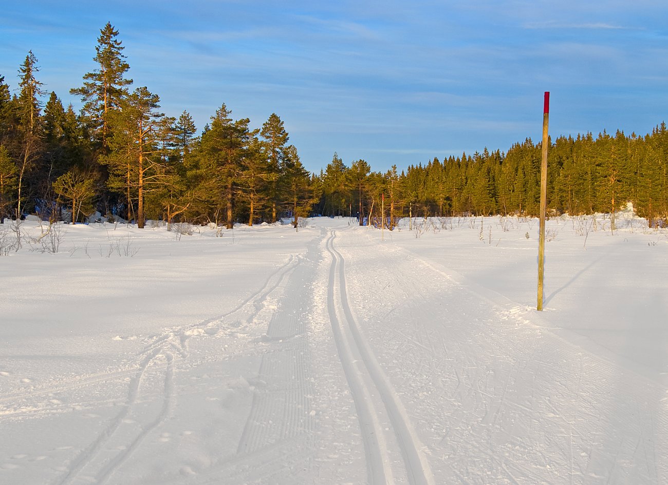Sjustakemyrene 2. juledag