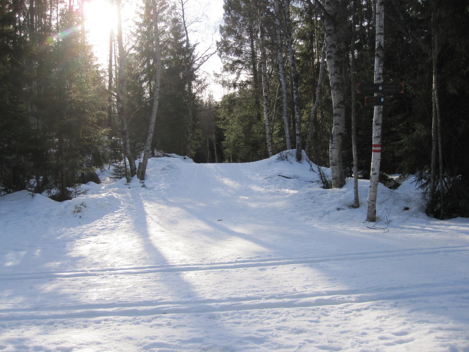 Skal du til Sognsvann?