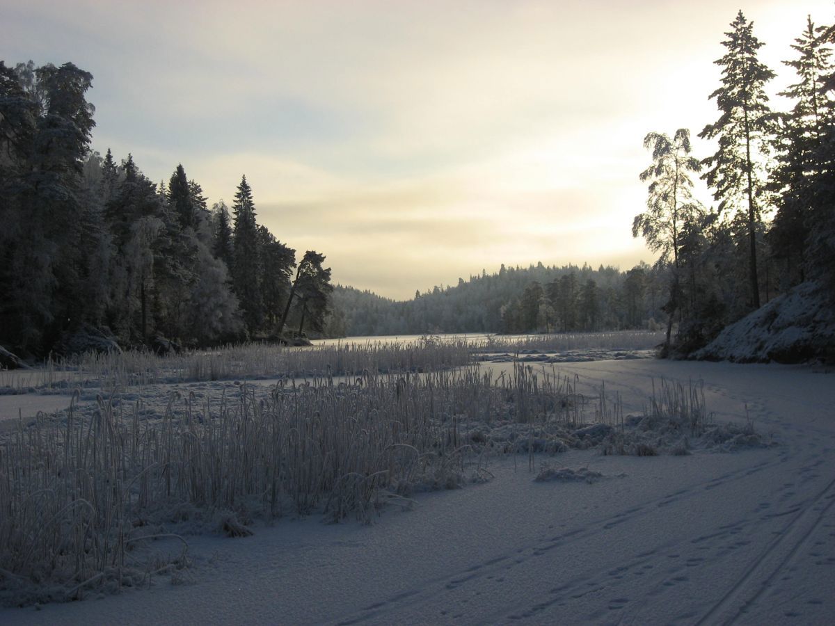 Skålsjøen fra nord