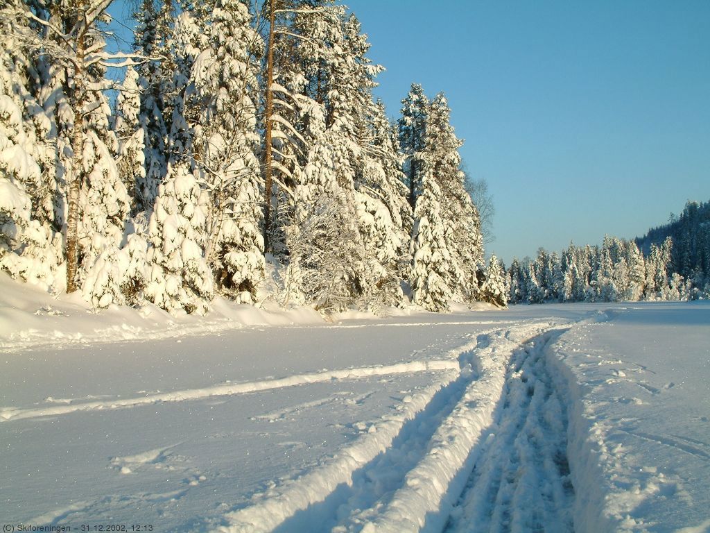 Skålsjøen nyttårsaften