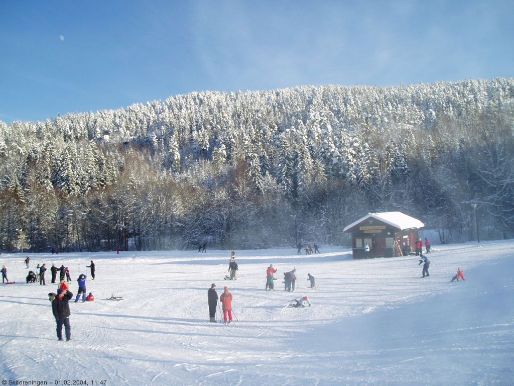 Skibua ved Skullerudstua