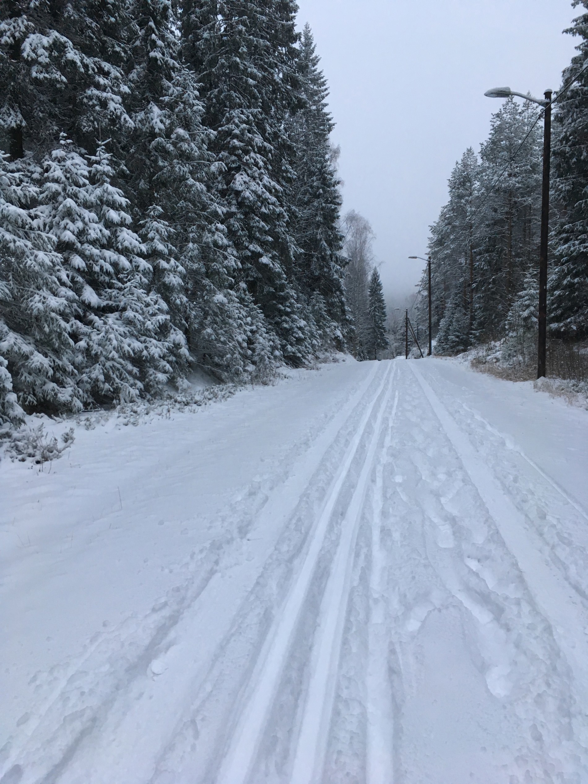 Skiføre i Lillomarka!