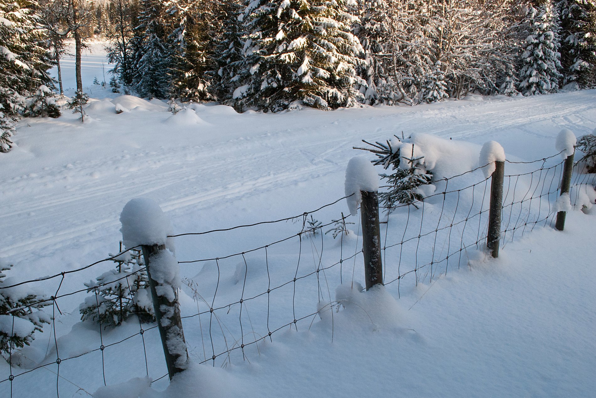 Skiføre også i Skrukkelia