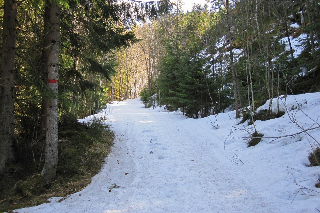Skiføre ved Monsetangen