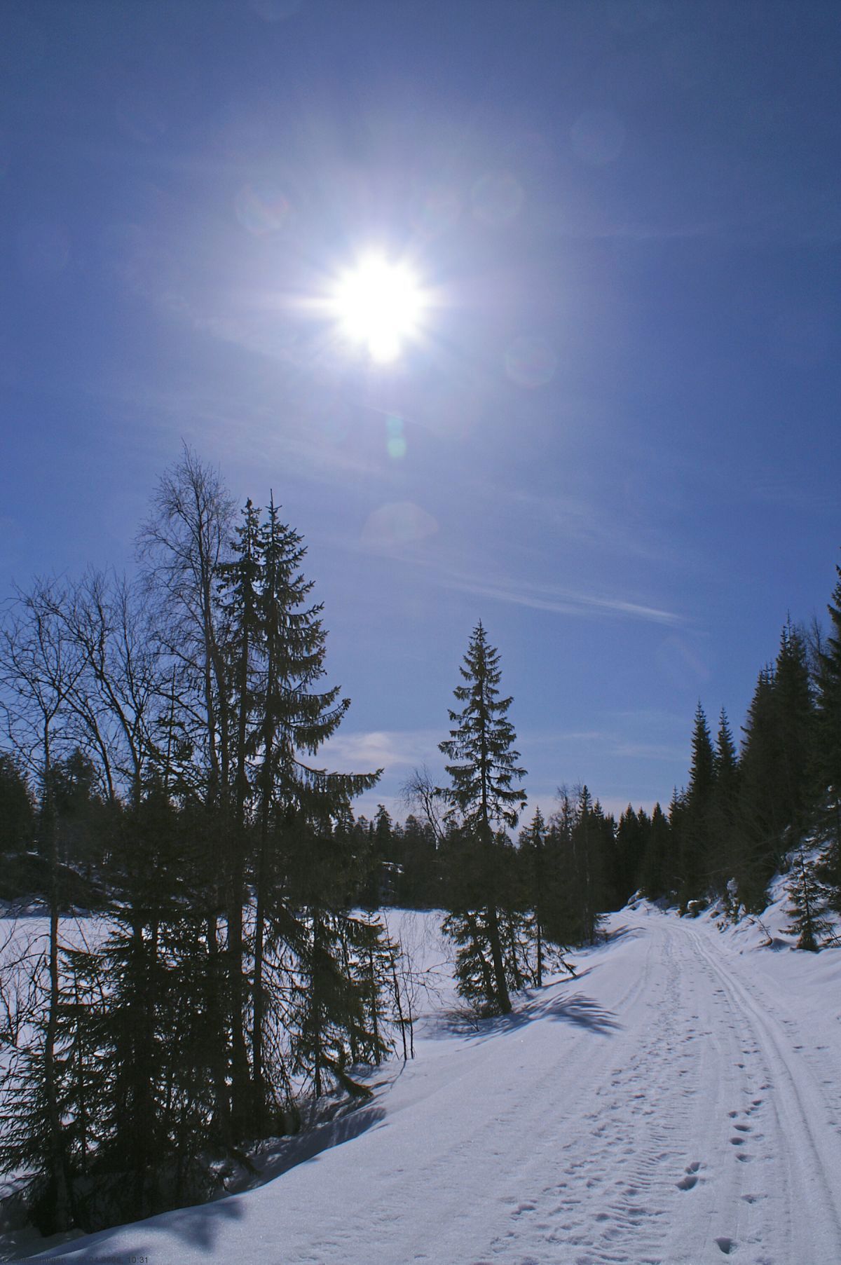 Skiføret holder stand ved Almedalsputten