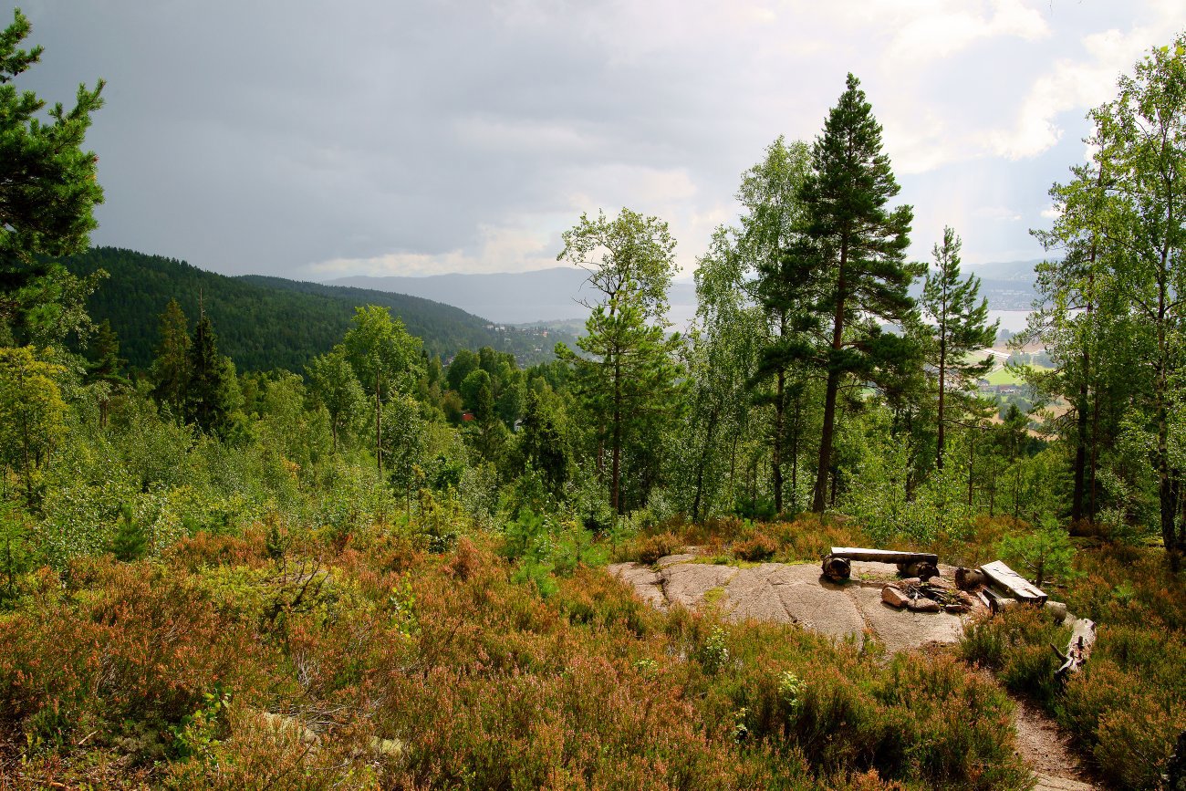 Skiftende vær i Reistadåsen