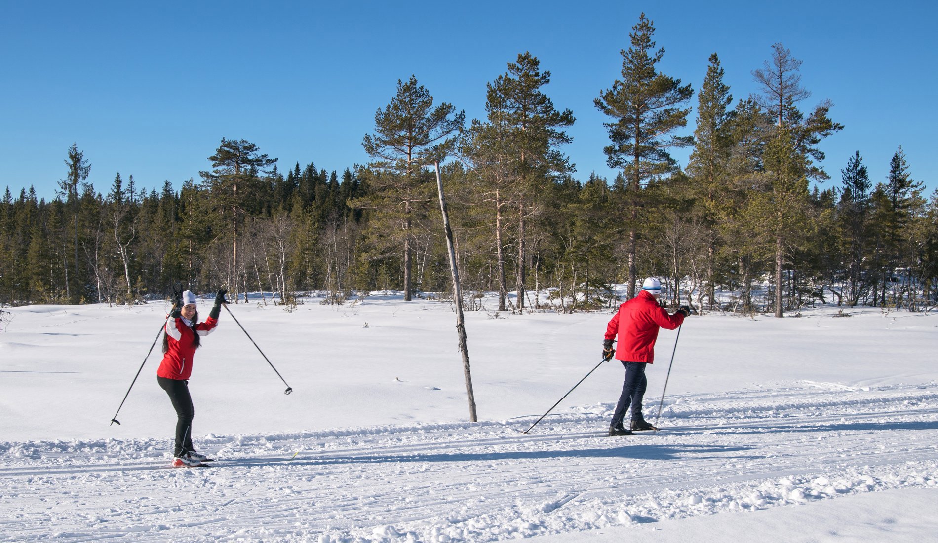 Skiglede på Ringsmyrene