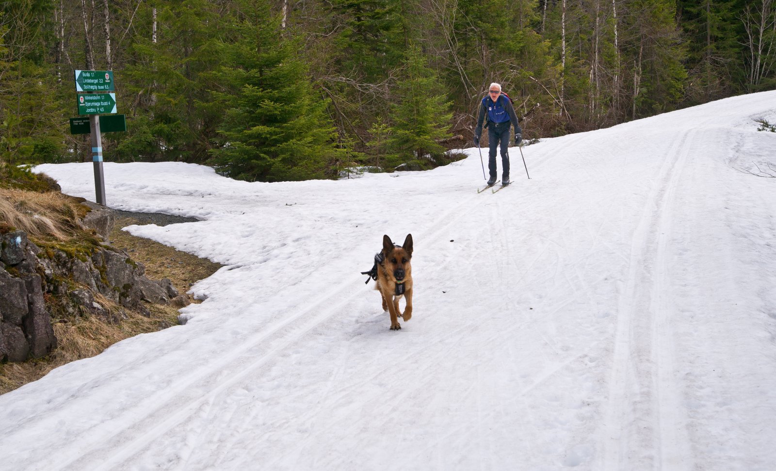 Skiglede ved Godtland