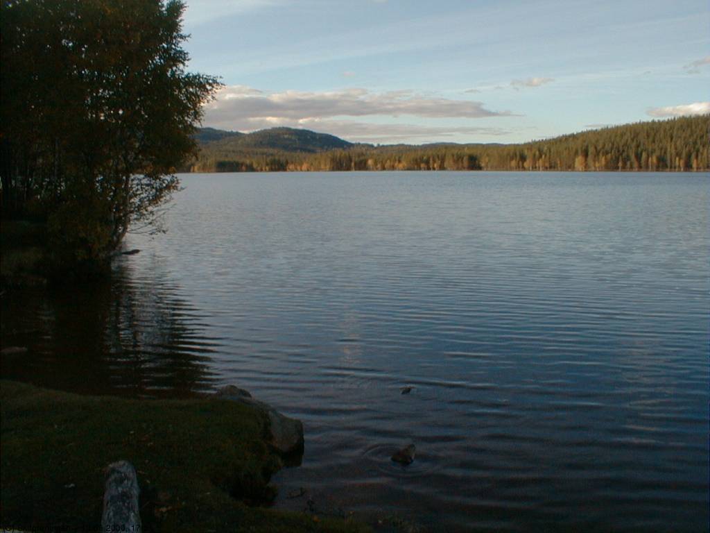 Skillingen (nær Stryken)