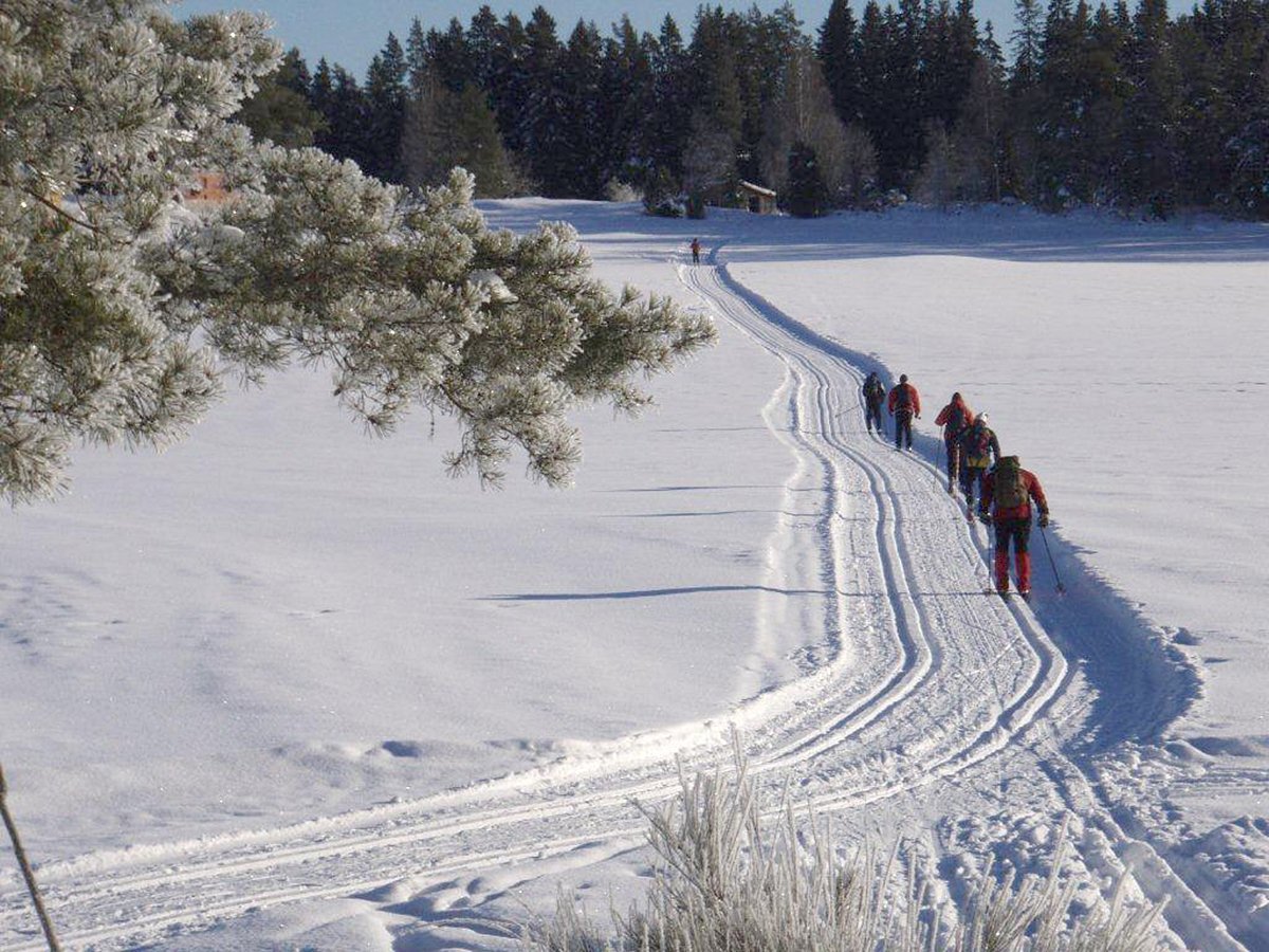 Skiløpere ved Vandrås-gårdene
