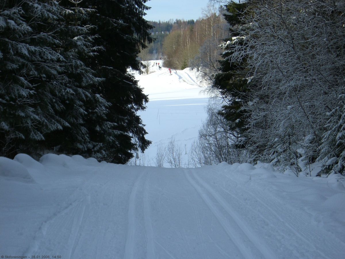 Skiløypa Losby - Østmork - Østaveien
